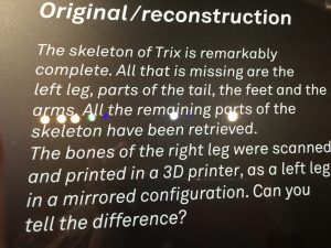 About Trix