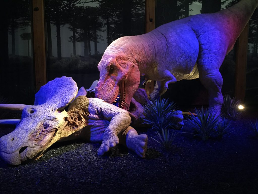 T-Rex eating Triceratops
