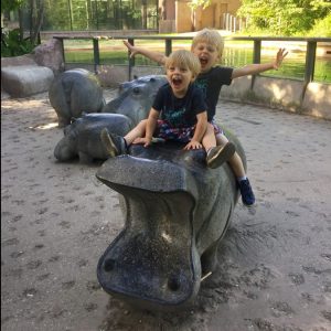 Kids enjoying the hippos