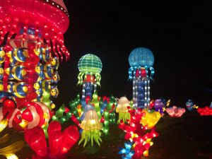 China Lights - Under the Sea