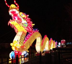 China Lights Dragon