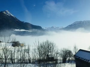 Austrian Fog