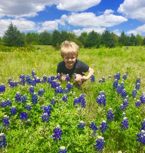 Texas Bluebonnets (and sunny, blue skies)